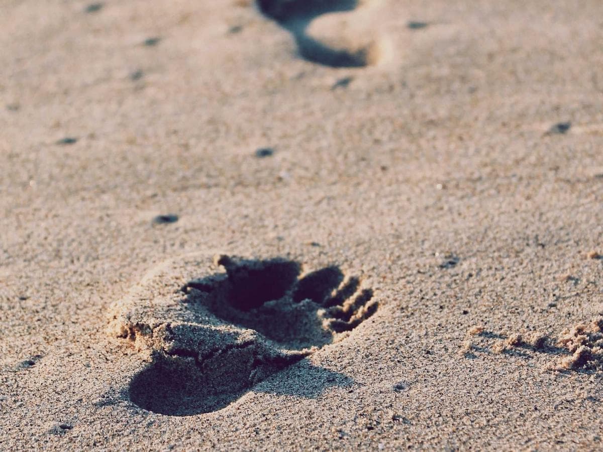 Ancestral Stone Bust - Thumbnail 2